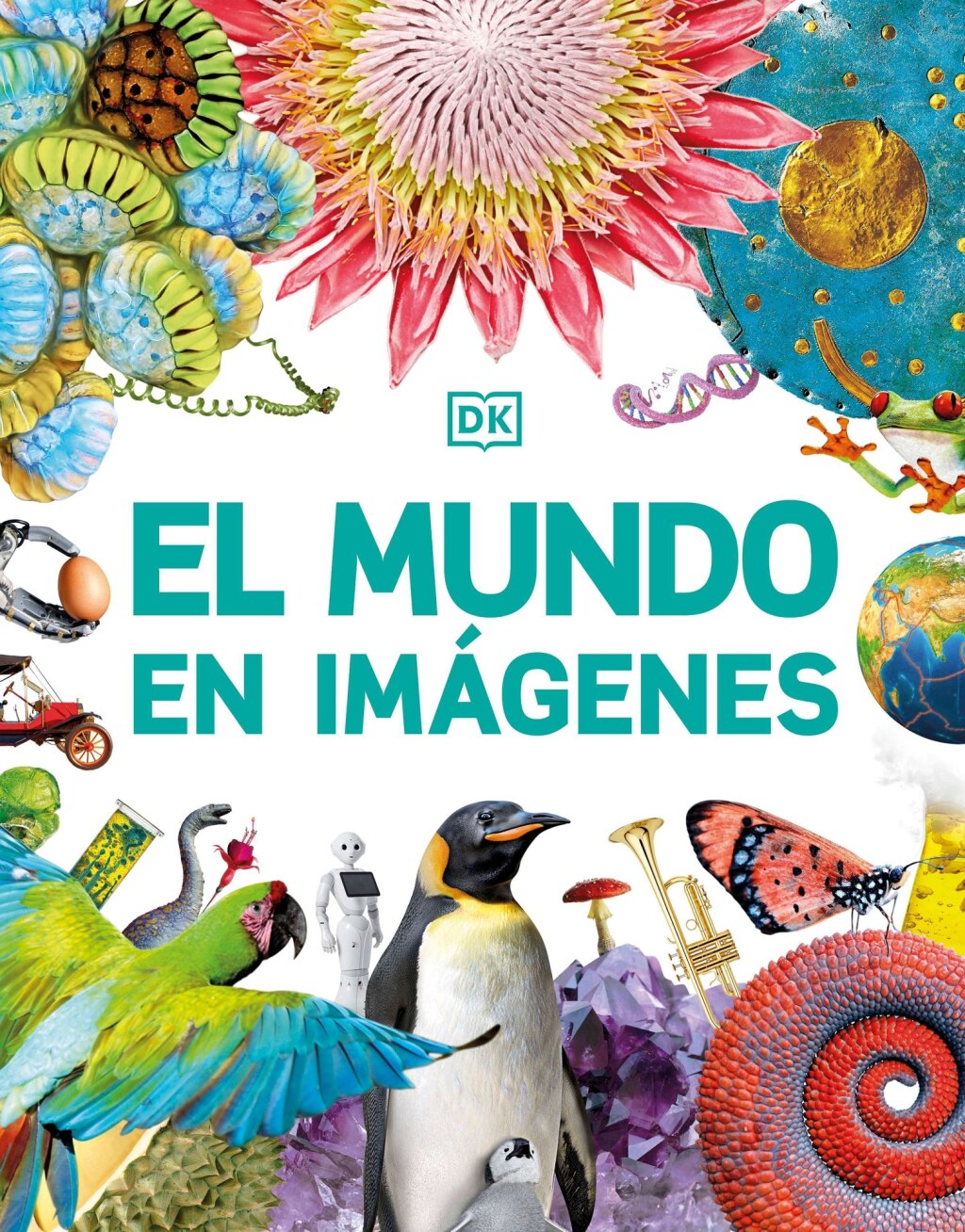 El mundo en imÃ¡genes (Our World in Pictures)