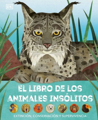 Cover image: El libro de los animales insolitos (Animals Lost and Found) 9780744089226