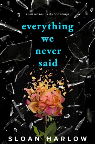 Cover image: Everything We Never Said 9780593855720