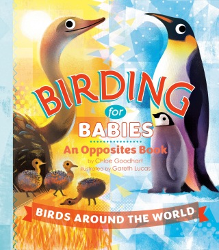 Cover image: Birding for Babies: Birds Around the World 9780593752005