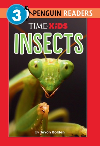 Cover image: TIME for Kids: Insects 9780593888049