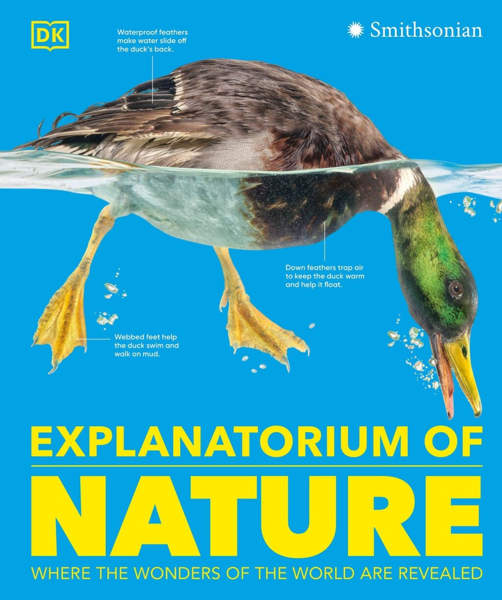Explanatorium of Nature Where the Wonders of the World are Revealed