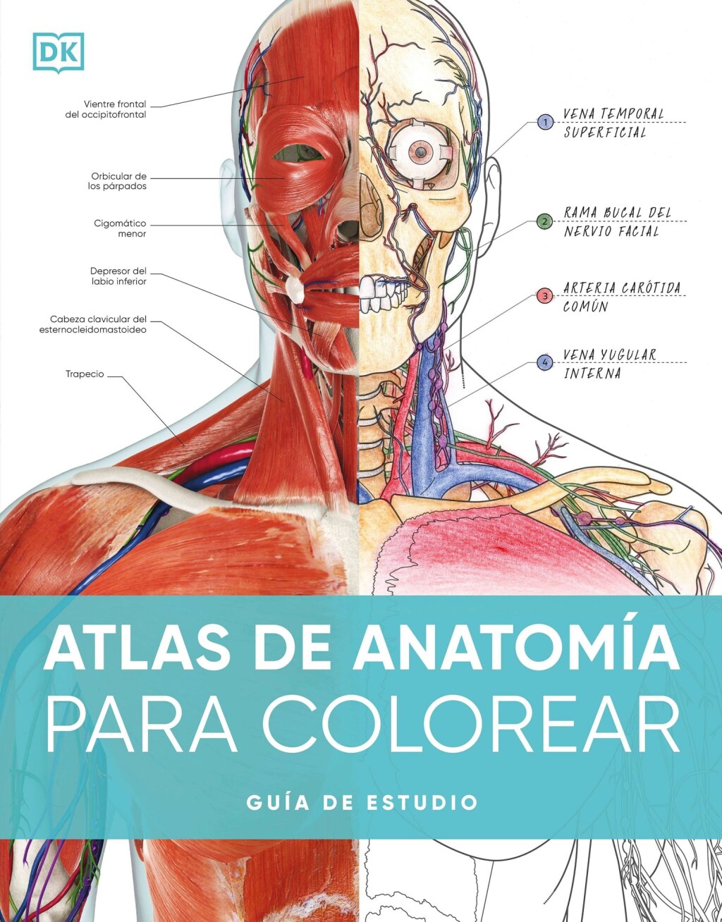 Atlas de anatomÃ­a para colorear (The Human Body Coloring Book) GuÃ­a de estudio