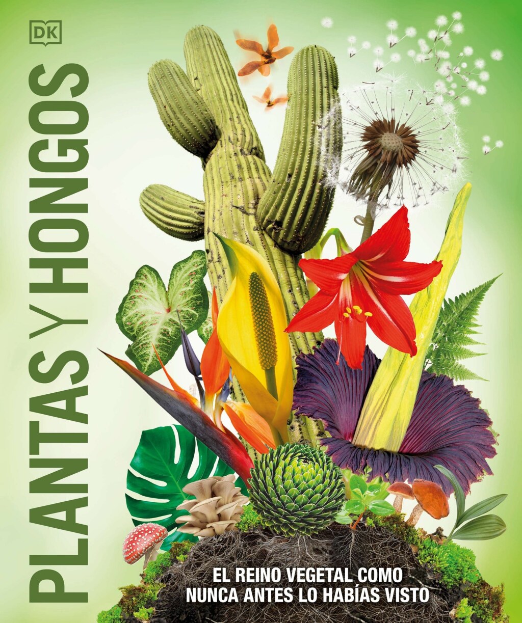 ISBN 9780593848296 product image for Plantas y hongos (Knowledge Encyclopedia Plants and Fungi!) (eBook) | upcitemdb.com