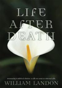 Imagen de portada: Life After Death 9780595525683