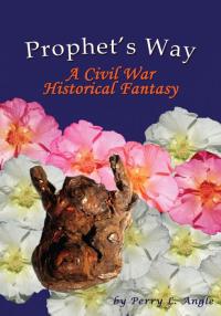 Cover image: Prophet's Way 9780595529681