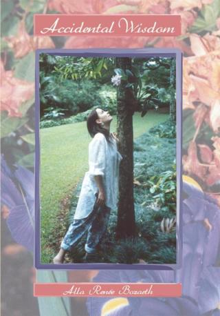 Imagen de portada: Accidental Wisdom 9780595300228