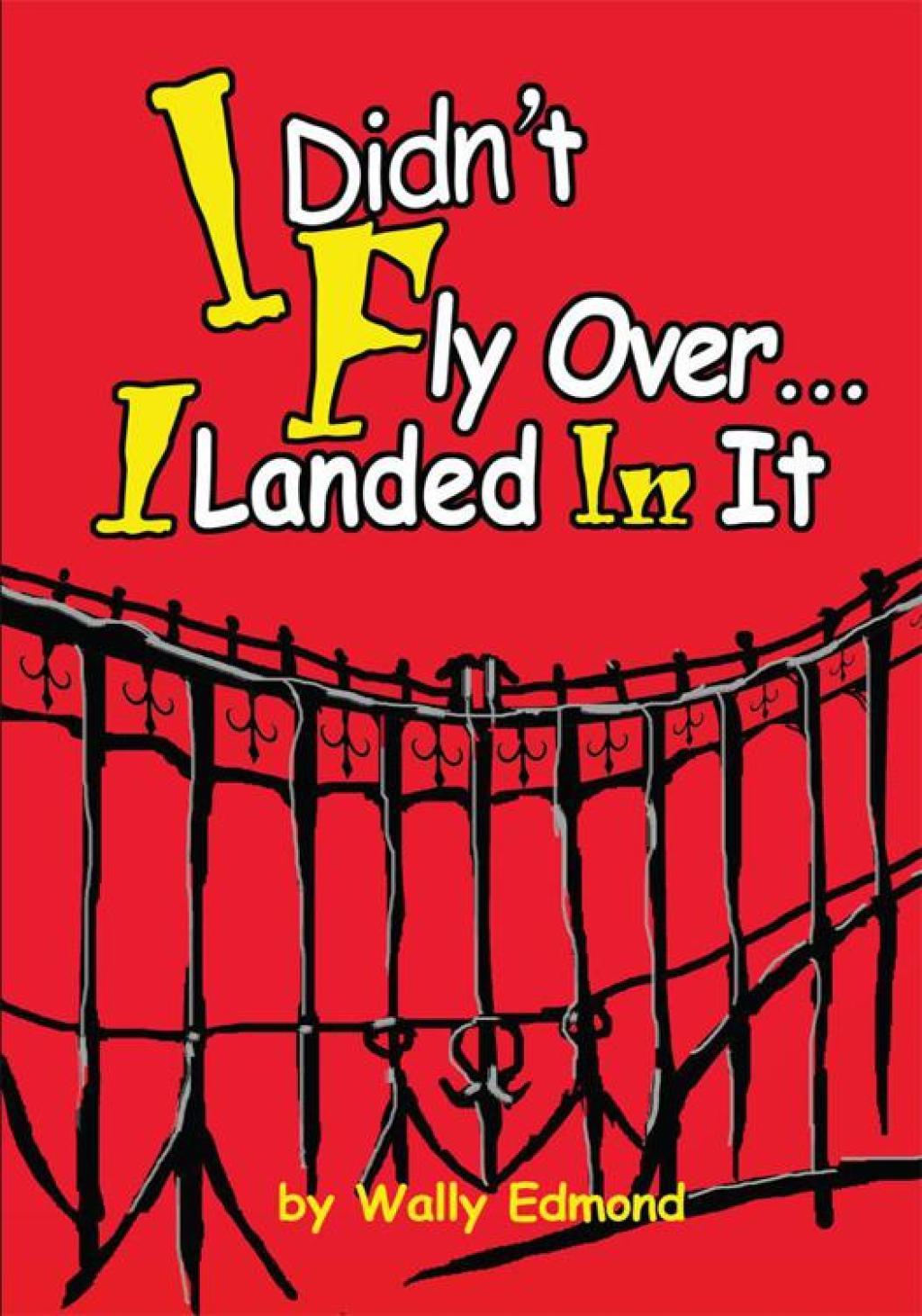 I Didn’t Fly Over… I Landed in It