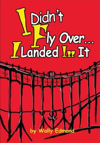 Cover image: I Didn't Fly Over... I Landed in It 9780595262441