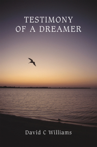 Cover image: Testimony of a Dreamer 9780595383245