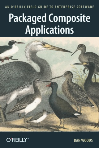 Cover image: Packaged Composite Applications 1st edition 9780596005528