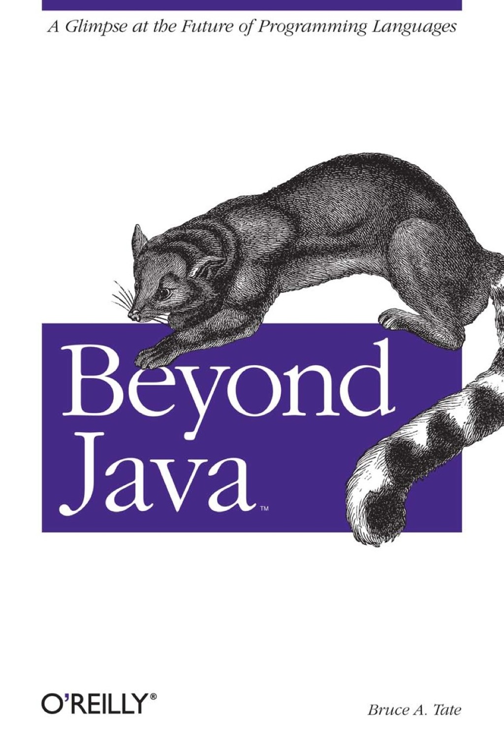 Beyond Java - 1st Edition (eBook)