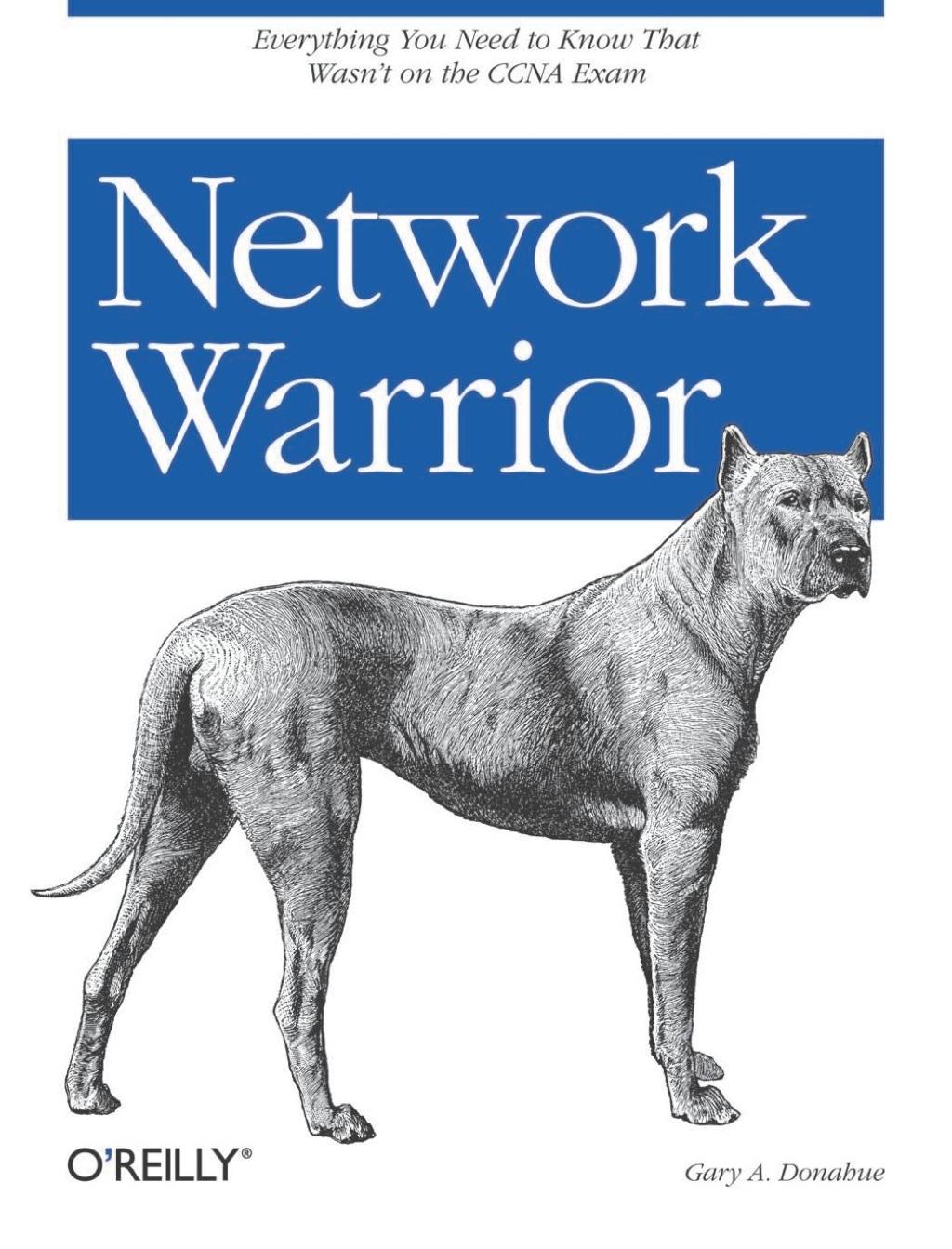 Network Warrior 1st Edition