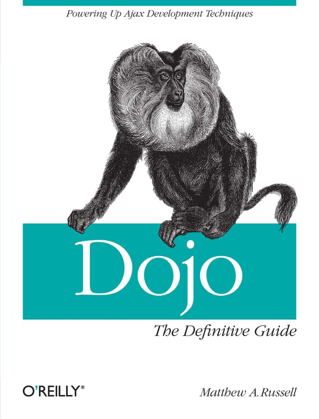 Dojo: The Definitive Guide The Definitive Guide 1st Edition