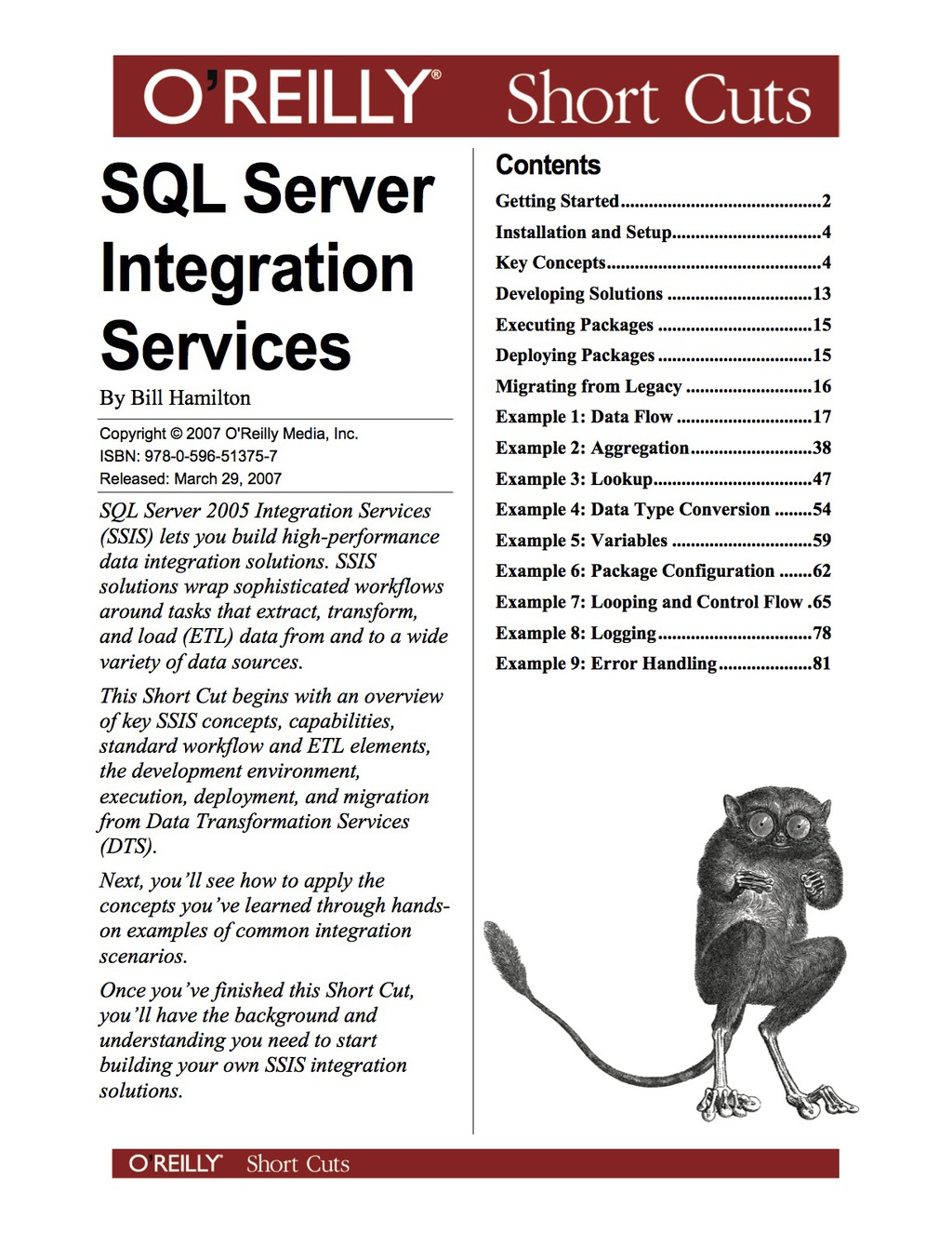 SQL Server Integration Services - 1st Edition (eBook)