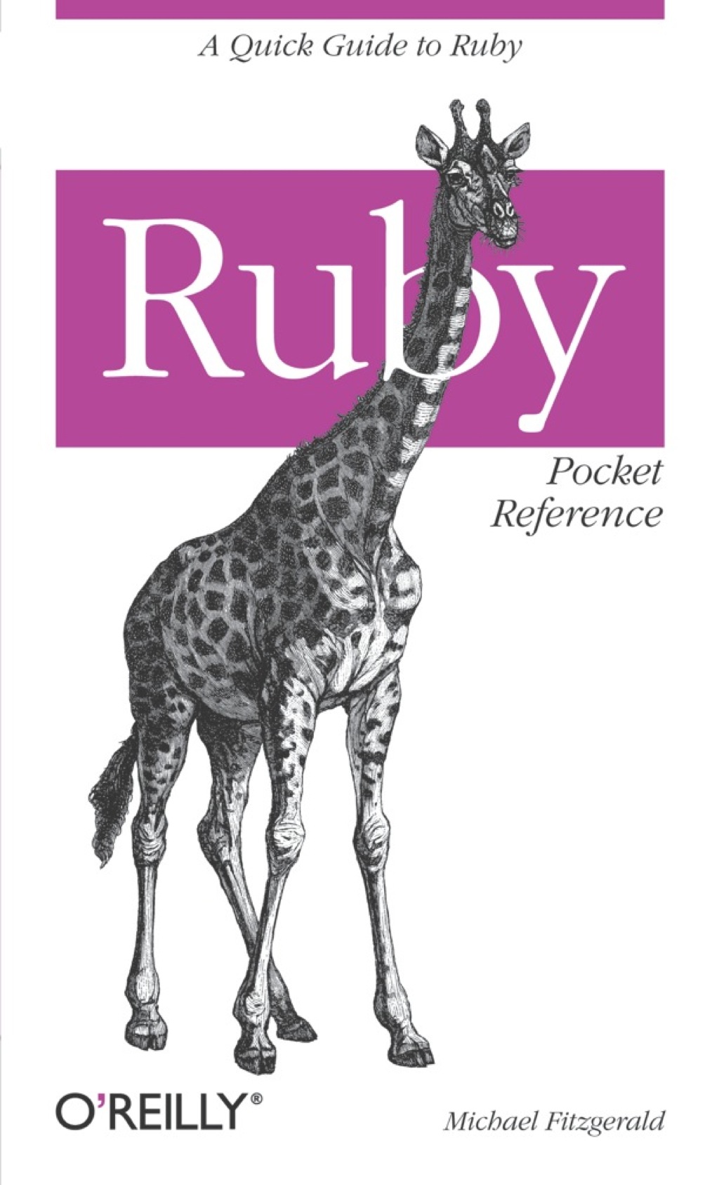 Ruby Pocket Reference - 1st Edition (eBook)