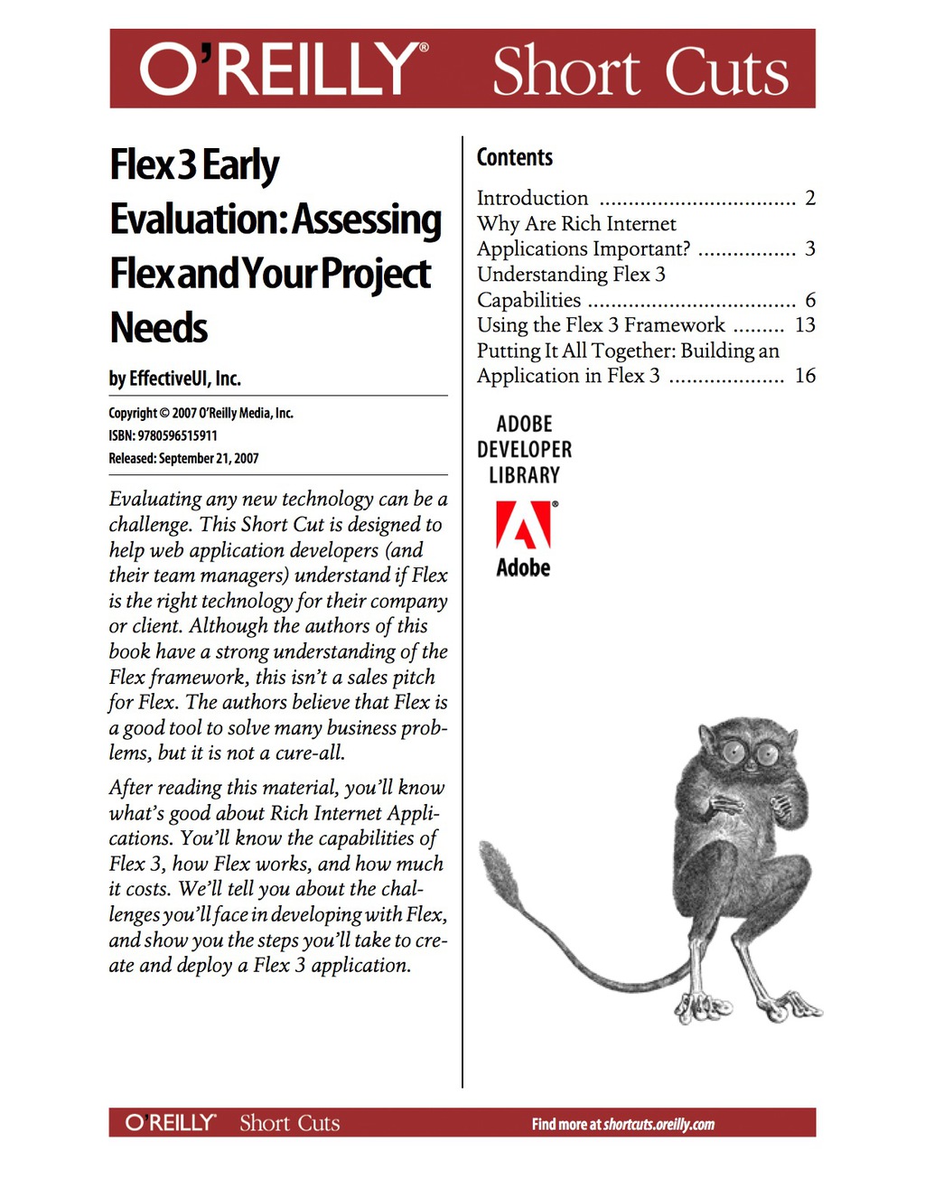 Flex 3 Early Evaluation: Assessing Flex and Your Project Needs 1st Edition