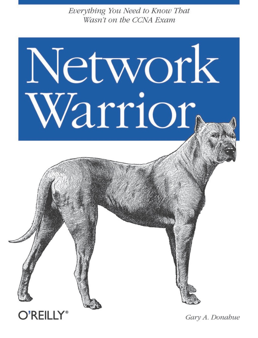 Network Warrior 1st Edition