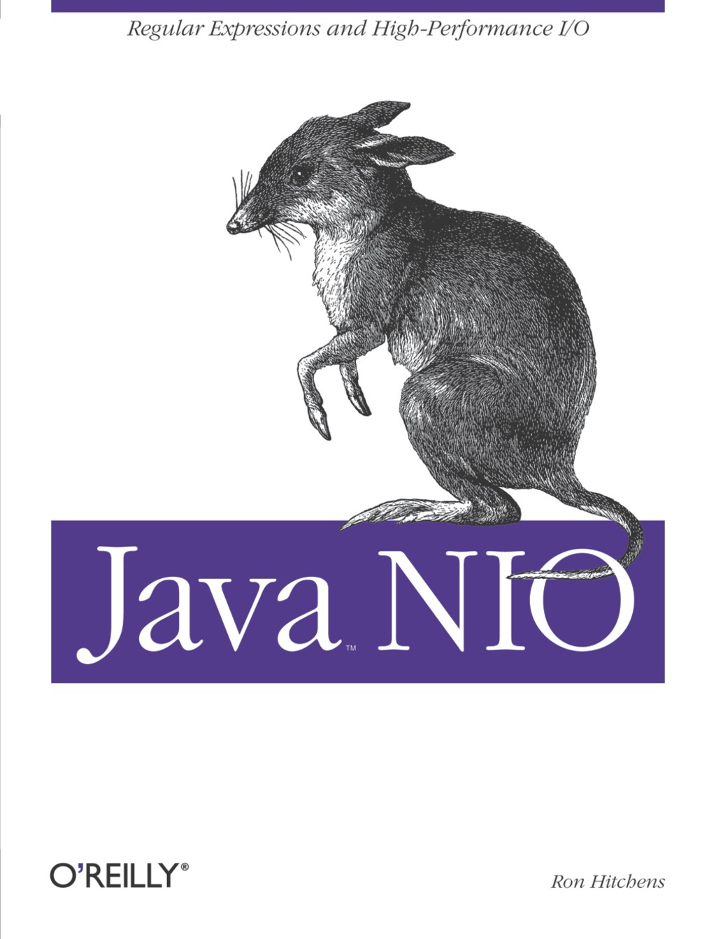 Java NIO - 1st Edition (eBook)