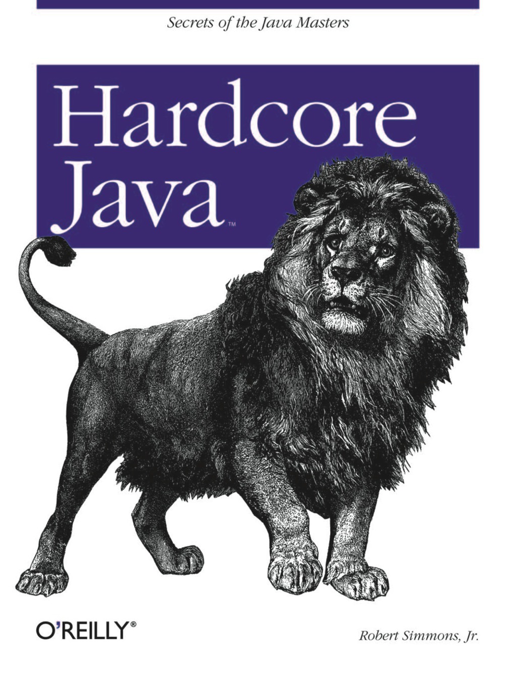 Hardcore Java Secrets of the Java Masters 1st Edition