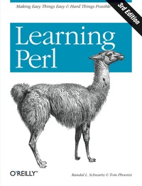 Titelbild: Learning Perl 3rd edition 9780596001322