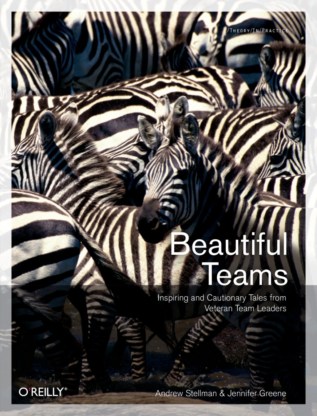 Beautiful Teams 1st Edition
