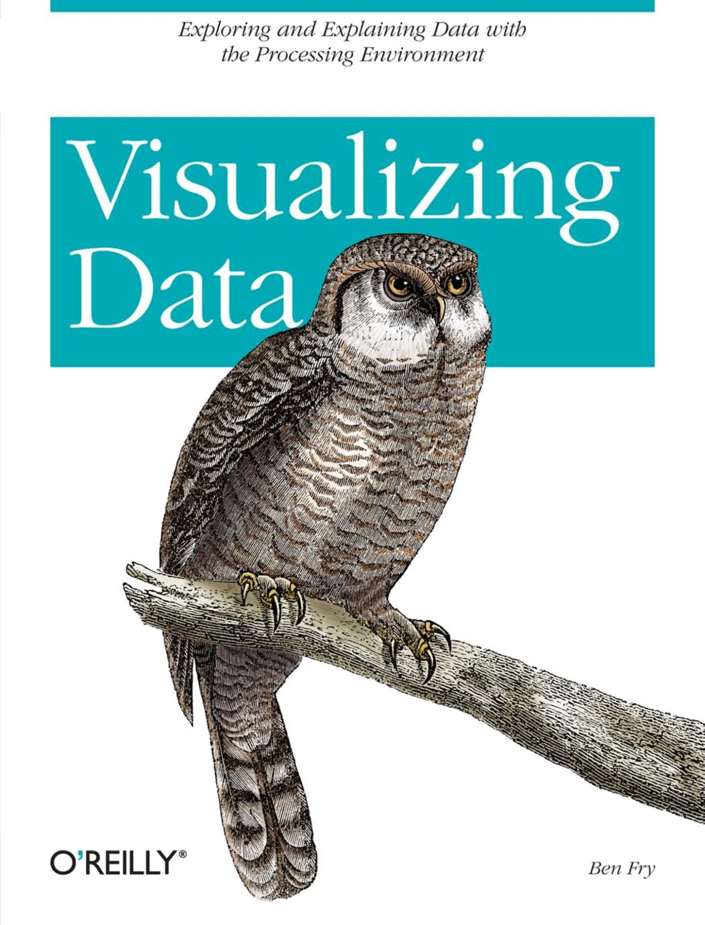 Visualizing Data - 1st Edition (eBook)