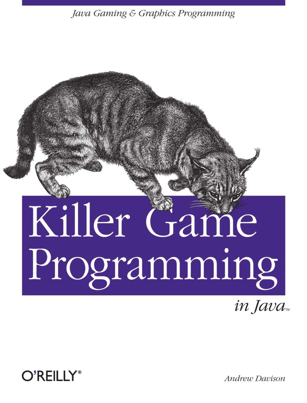 Killer Game Programming in Java - 1st Edition (eBook)