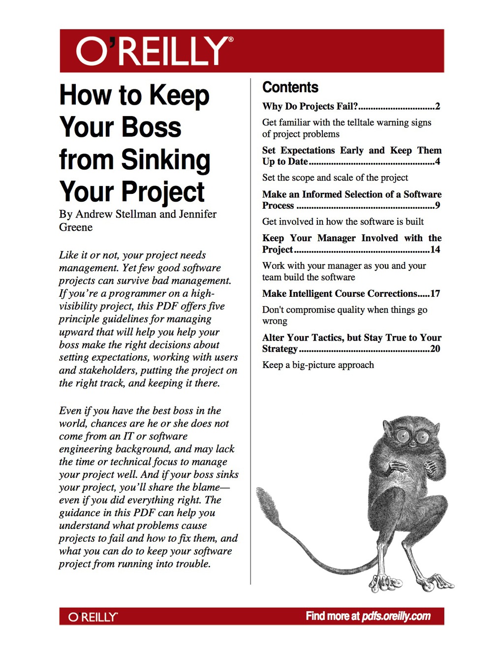 How to Keep Your Boss from Sinking Your Project 1st Edition