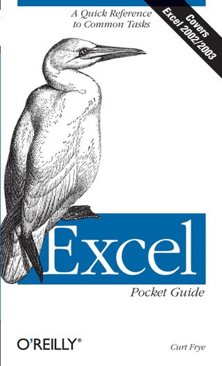 Imagen de portada: Excel Pocket Guide 1st edition 9780596005344