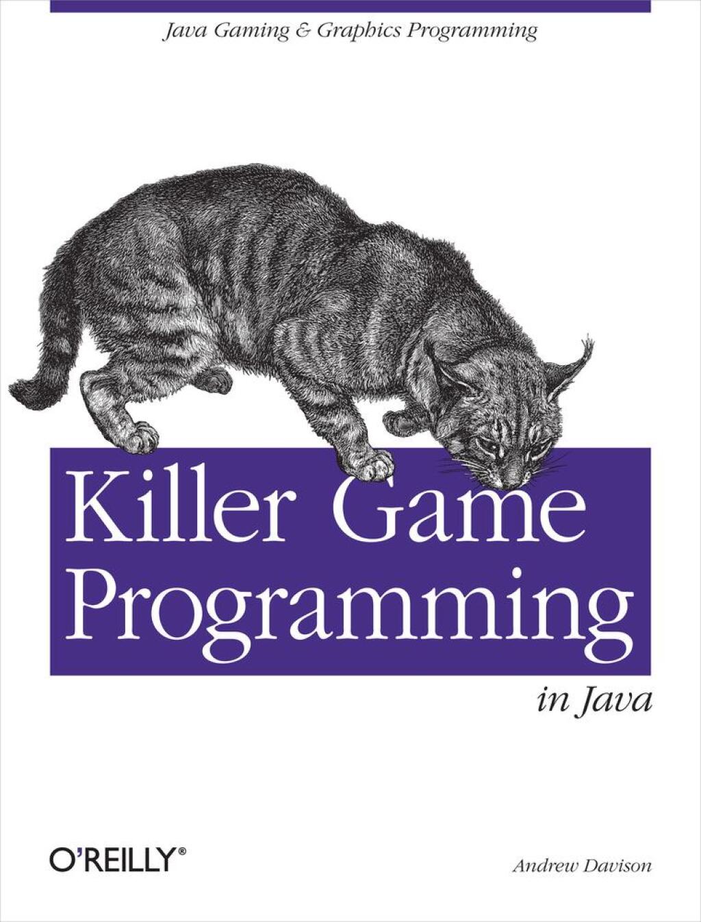 Killer Game Programming in Java - 1st Edition (eBook)