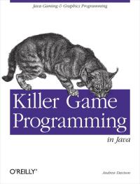 Cover image: Killer Game Programming in Java 1st edition 9780596007300