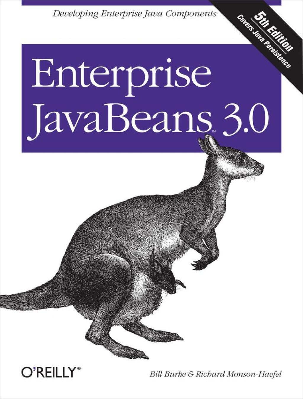 Enterprise JavaBeans 3.0 5th Edition