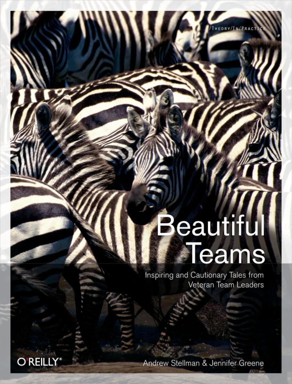 Beautiful Teams Inspiring and Cautionary Tales from Veteran Team Leaders 1st Edition