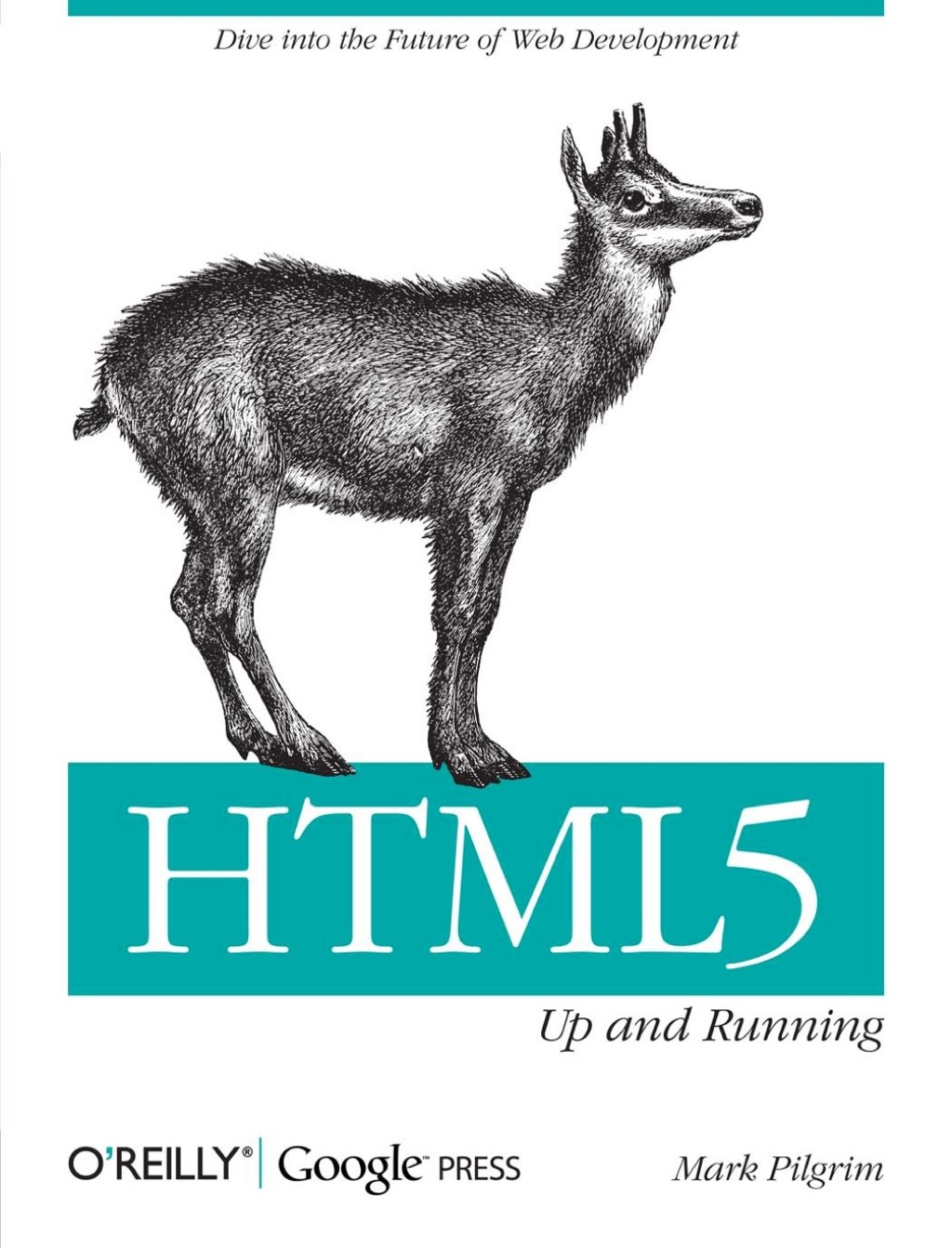 HTML5: Up and Running 1st Edition