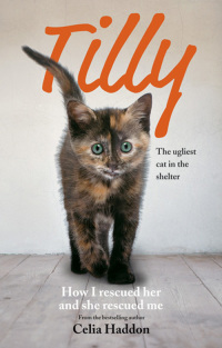 Cover image: Tilly: The Ugliest Cat 9780600624660