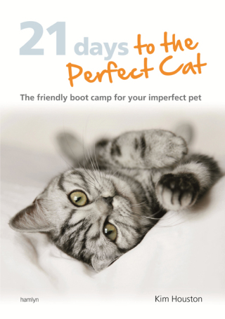 Cover image: 21 Days To The Perfect Cat 9780600628149