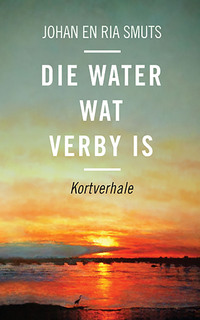 Cover image: Die water wat verby is 1st edition 9780624054696