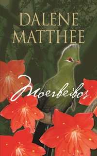 Cover image: Moerbeibos 1st edition 9780624043331