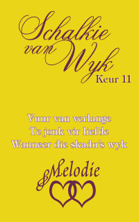 Titelbild: Schalkie van Wyk Keur 11 1st edition 9780624068150