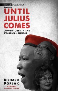 صورة الغلاف: Until Julius Comes 1st edition 9780624070092