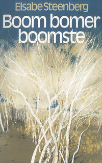 Cover image: Boom bomer boomste 1st edition 9780624079415