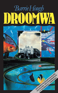 Cover image: Droomwa 1st edition 9780624079392