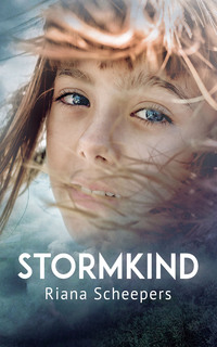 صورة الغلاف: Stormkind 1st edition 9780624084303