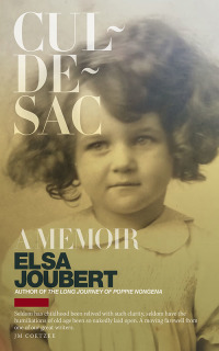 Imagen de portada: Cul-de-sac 1st edition 9780624087793