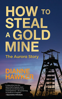 Imagen de portada: How to Steal a Gold Mine: The Aurora Story 1st edition 9780624090564