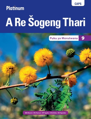 Cover image: Platinum A Re Šogeng Thari (Sepedi HL) Grade 9 Learner's Book 1st edition 9780636140295