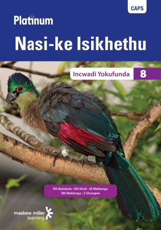 Cover image: Platinum Nasi-ke Isikhethu (IsiNdebele HL) Grade 8 Reader 1st edition 9780636143838