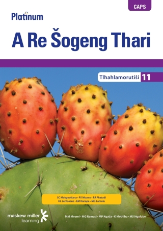 Cover image: Platinum A Re Šogeng Thari (Sepedi HL) Grade 11 Teacher's Guide 1st edition 9780636135932