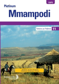 Cover image: Platinum Mmampodi (Sesotho HL) Grade 11 Teacher's Guide 1st edition 9780636135901